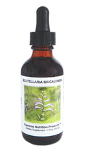 Load image into Gallery viewer, Scutellaria Baicalensis Tincture