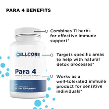 Load image into Gallery viewer, C.A. Support Kit