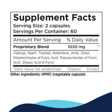 Load image into Gallery viewer, Para 2