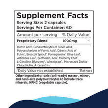 Load image into Gallery viewer, VirRadChem Binder