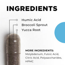 Load image into Gallery viewer, BioToxin Binder