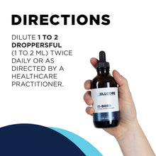 Load image into Gallery viewer, IS-BORR