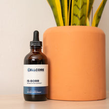 Load image into Gallery viewer, IS-BORR