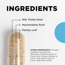 Load image into Gallery viewer, KL Support