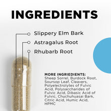 Load image into Gallery viewer, LymphActiv