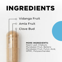 Load image into Gallery viewer, Para 2