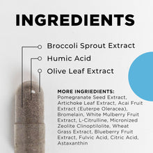 Load image into Gallery viewer, VirRadChem Binder