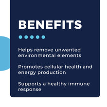 Load image into Gallery viewer, VirRadChem Binder