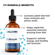 Load image into Gallery viewer, Detox Support Kit