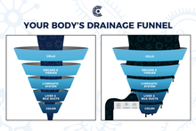 Load image into Gallery viewer, Step 3: Whole Body Immune Support