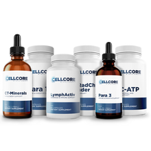 Load image into Gallery viewer, Phase 3: Whole Body Immune Support