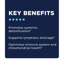 Load image into Gallery viewer, Step 4: Systemic Detox