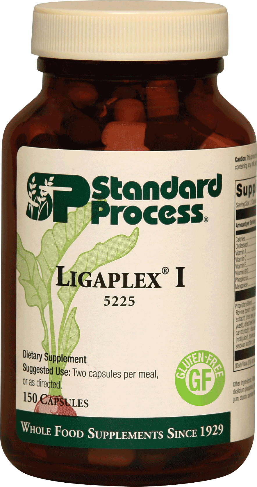 Ligaplex 1