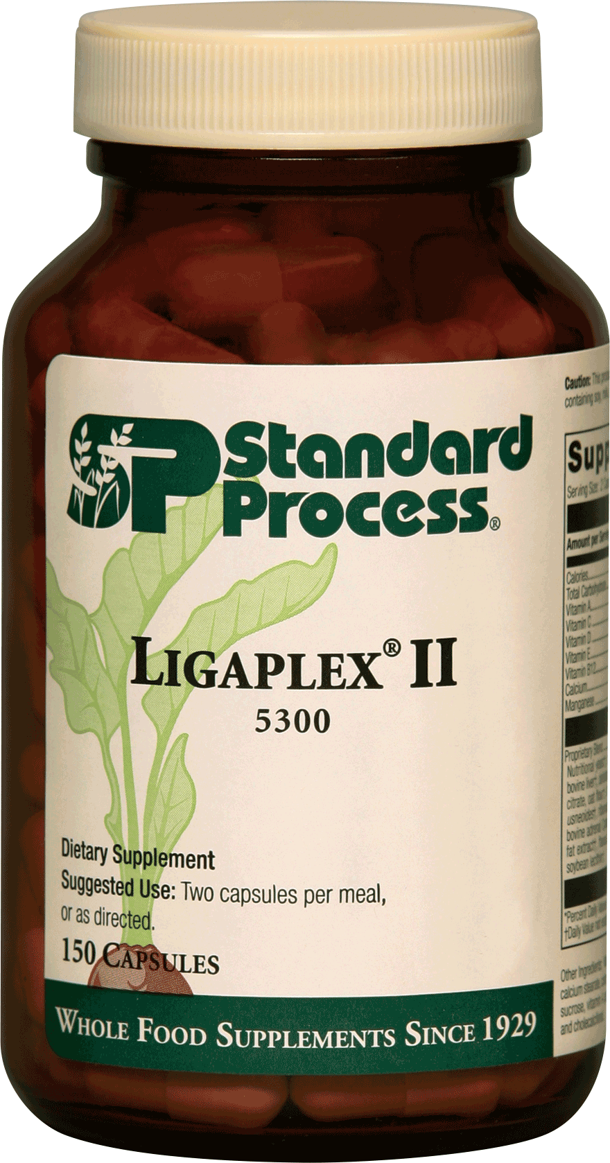 Ligaplex 2