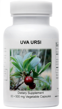 Load image into Gallery viewer, Uva Ursi
