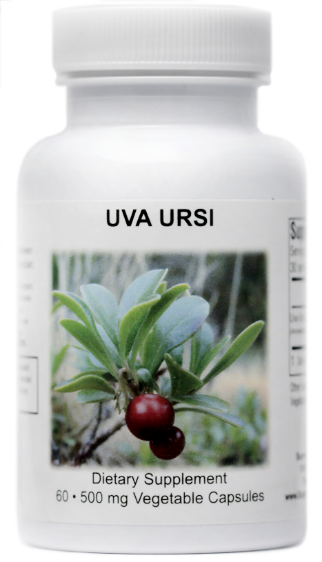 Uva Ursi